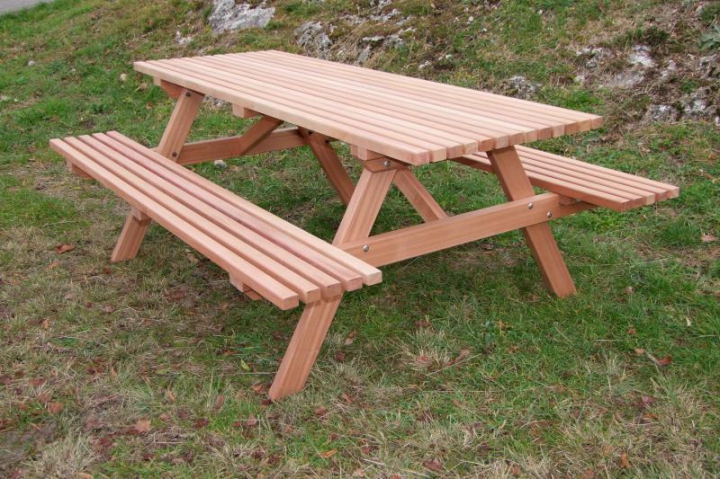 Table pique-nique en bois exo